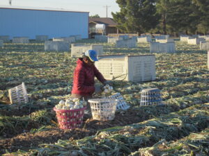 workers' rights option 1